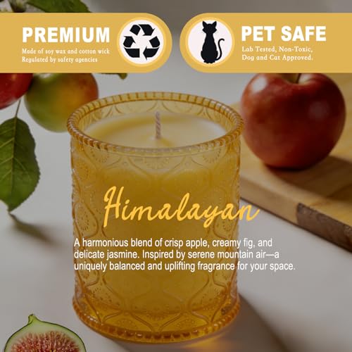 Sandalwood Fig Amber Scented Candles for Mother's Day, Natural Soy Wax Jar Candle in Glass 45 Hours Clean Burn, Gift-Ready for Hosts & Gatherings Elegant Home Décor - Image 3