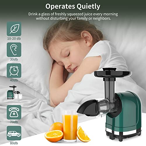 Lufvebut Masticating Juicer Machines, Cold Press Slow Juicer Machines Easy To Clean, High Juice Yield Vegetable Juicer For Beet Carrot, Orange Juicer With Automatic Pulp Ejection And Quiet Motor Juicer thumb #4