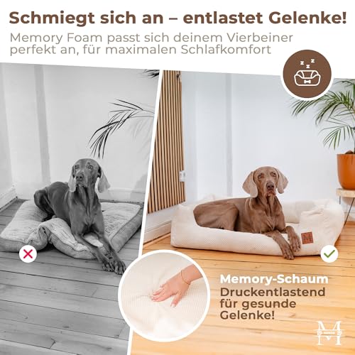 Manno Hundebett mit Memory Foam für mittelgroße & Grosse Hunde [Gratis Decke & 2 Kissen] Kuscheliges Bett für deinen Hund mit waschbarem Bezug | Hundekissen, Dog Bed, wasserabweisend & rutschfest (L)