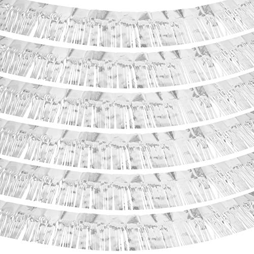 Willbond 6 Pieces 10 Feet Fringe Garland Foil Fringe Garland Metallic Tinsel Foil Garland Wall Hanging Fringe Banner For Wedding Birthday Parties Holiday Decorations And More (Silver) #TOP15