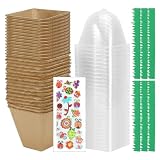 Kit Per Piantare Bambini - Kit Da Giardino Per Bambini | Giocattoli Artigianali Naturali, Pacchetto Di Attività Educative Pratiche Per L'apprendimento Botanico, Raccolta Completa Di Programmi Creativi