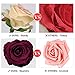 ETERNAL ANGEL Artificial Flowers Dark Red Fake Roses Real Looking Flannelette Flowers with Stem for DIY Arrangements Wedding Bouquets Centerpieces Bridal Shower Party Home Decorations- 16 Pcs