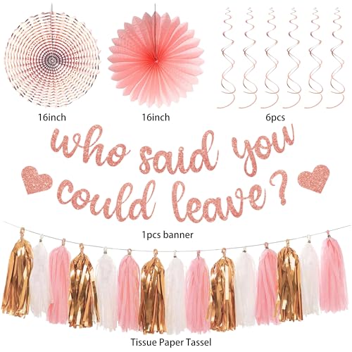 Image of Roetyce Farewell Party Decorations Women, Pink Glitter Who Said You Could Leave Banner, Rose Gold Going Away Leaving Goodbye Party Supplies for Coworker Friends, Retirement Photo Background Decor