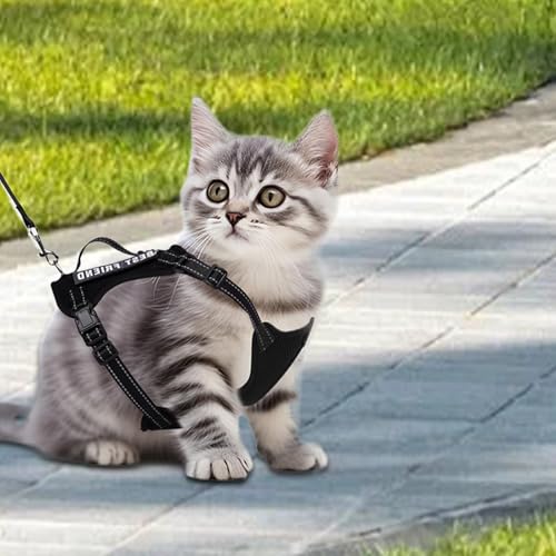 Arnés antiescape para gatos pequeños y grandes que buscan máxima comodidad 3