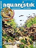 aquaristik
