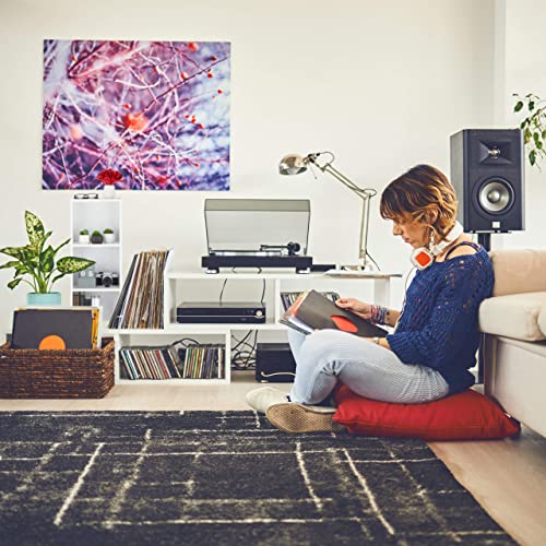 Relaxdays Libreria con 4 Scomparti, Design