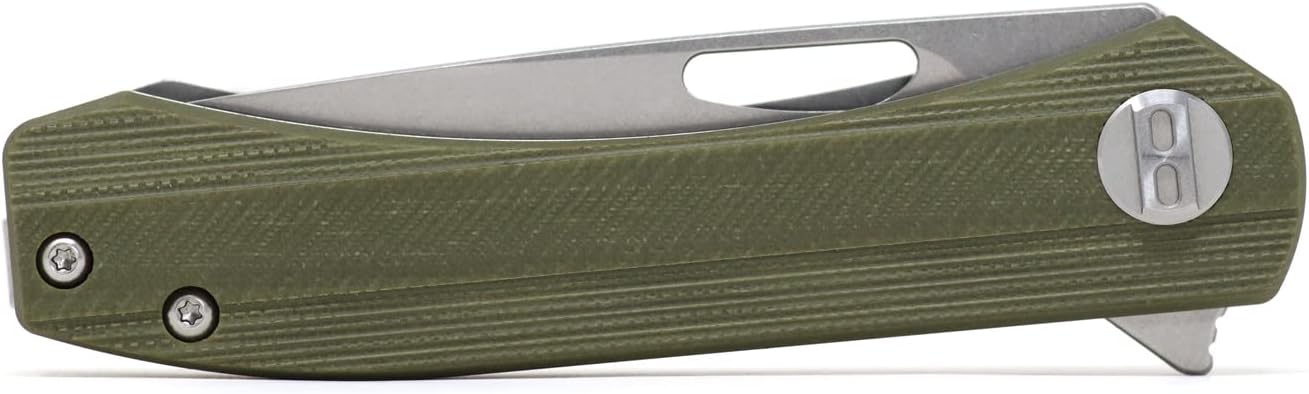 Bestech Knives BANDIT - EDC Folding Pocket Knife - Linerlock, G10 or Micarta Scales, N690 Steel Blade, Kaviso Exclusive (Green G10)
