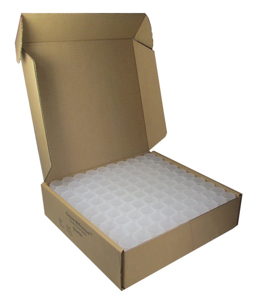 Guardhouse Lot de 100 Tubes pour pièces de Monnaie