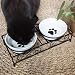 Navaris 2X Futternapf Katze Katzennapf erhöht - Katzen Napfset aus Keramik und Metall - Fressnapf Futterstation - Napf Set - 2 Stück Katzennäpfe