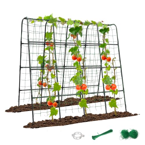 GOJAWAY 63' L x 63' H Cucumber Trellis for Raised Bed...