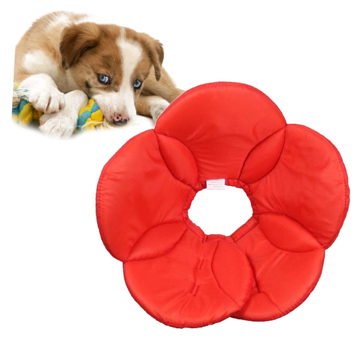 INOOMP 3 Pz collare per animali in poliestere accessori cane accessori per cane collari per animali domestici collare a cono per cani morbido collare antimorso per cani cover protettiva