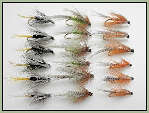 Mosche Per Trout Kit Di 6 Mosche Da Pesca Bagnate Kate Mclaren Per Trota Dimensioni 1131888 - Foto 5