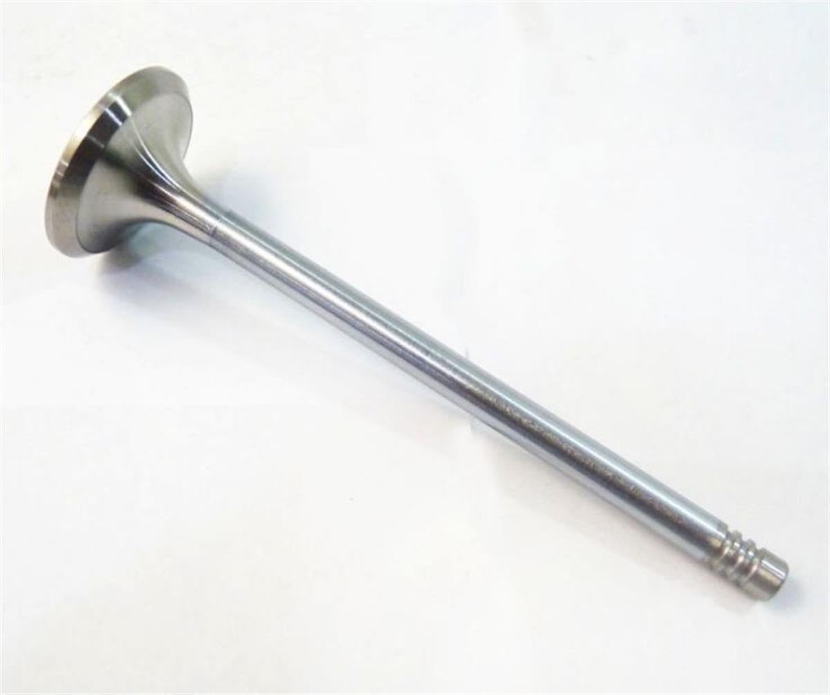 036109601S 8 valvole di ingresso + 8 valvole di scarico di ricambio per Audi VW Passat Golf Seat 1.4 1.6 FSi 16V ATN BCB BTG BXW AZQ BME TSI 036109611K