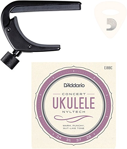 Preisvergleich Produktbild D'Addario Ukulele Essentials Kit