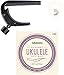 Produktbild D'Addario Ukulele Essentials Kit