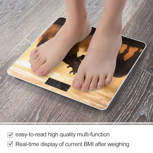 Báscula digital para baño con vidrio templado y pantalla LCD miniatura 5