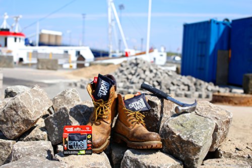 SmellWell - Neutralizzatore di odori BS Black