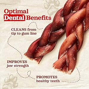 Natural Farm Odor-Free Braided Bully Sticks (6 Inch, 10 Pack) – 100% Grass-Fed Beef, Grain-Free, Low Fat & Fully Digestible Dental Treats – Safest Long Lasting Pizzle Chews to Keep Your Dog Busy