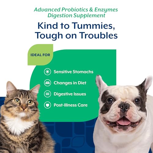 Image of NaturVet Advanced Probiotics & Enzymes Supplements for Dogs & Cats - 8 oz | Supports & Balances the GI Tract for Sensitive Stomachs & Digestive Needs, Powder