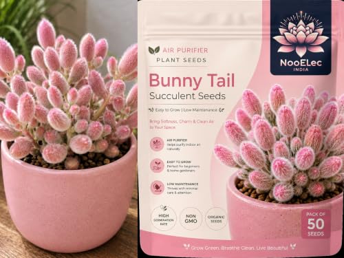 15 Artificial Plant Decorating Ideas 81 Bunny Tail Succulent Seeds Pack, Air Purifier Plant - Grow Year R...