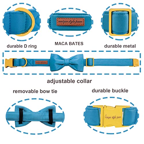 Unique style paws Dog Collar with Bowtie - Image 2