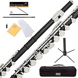 Mendini By Cecilio Flutes - Closed Hole C Flute For Beginners, 16-Key Flute with a Case, Stand,...