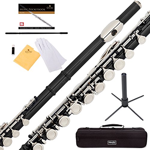 Cecilio Mendini Black Closed Hole C Flute with Stand, 1-Year Warranty, Case, Cleaning Rod, Cloth, Joint Grease, and Gloves - Perfect for Beginner Flutists!