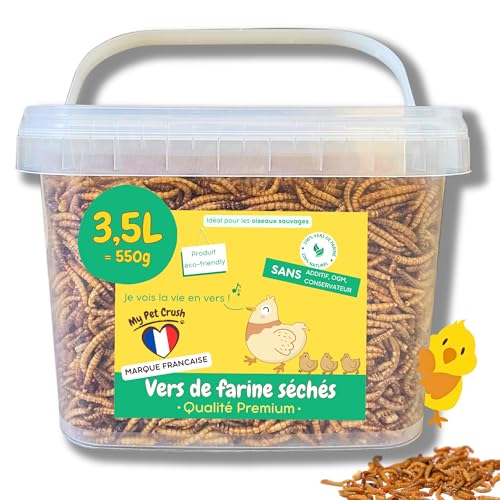 vers de Farine Séchés pour Poules et Oiseaux | Seau Rigide 3,5L (Qualité Premium) | 100% Naturel Riche en Protéines | Complément Alimentaire pour Tortues, Reptiles et Carpes | Stimulation mentale