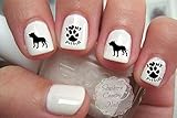 Pitbull Nail Art Decals