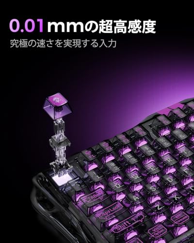0.01mmラピッドトリガー 搭載 GravaStar Mercury V75 lite ゲーミングキーボード 有線 着脱式ケーブル ポーリングレート4000Hz対応 有線 75%レイアウト US配列 アクチュエーションポイント バックライトRGB 磁気式スイッチ 透明ブラック