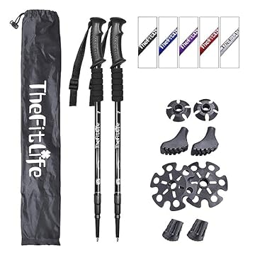 best shock absorbing trekking pole