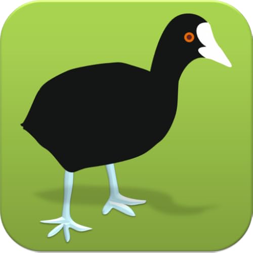 The Coot Game - //medicalbooks.filipinodoctors.org