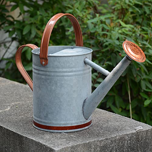 4L Watering Can Galvanized Steel Watering Pot With Removable Rosette-Diffuser Vintage Zinc #TOP6