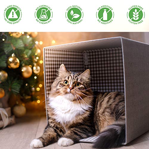 Oral Health for Cats Dental Treatment - Natural Stomatitis and Gingivitis Solution is Highly Effective for Feline Mouth Issues Including Tartar and Inflammed Gums - Easy to Use (450 pills)