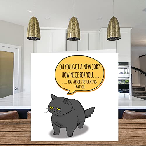 Funny Leaving Card For Colleagues Women Men - Sassy Cat - Sorry Your Leaving Good Luck In Your New Job Card, 5.7 X 5.7 Inch Banter Greeting Cards, Joke Rude Leaving Gifts Congratulations Card #TOP2