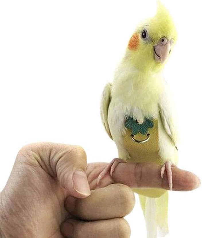 Birds Nappy Parrots Diaper, Waterproof Flight Suit, With Chain/Reusable/Washable, Suitable for Lovebirds Cockatoos Parakeets Outdoor Flying,100cmchain