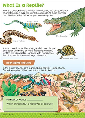 School Zone - Big Science Workbook - 320 Pages, Ages 7 To 9, 2Nd Grade, 3Rd Grade, Weather, Seeds, Plants, Insects, Mammals, Ocean Life, Birds, And More (School Zone Big Workbook Series) #TOP5