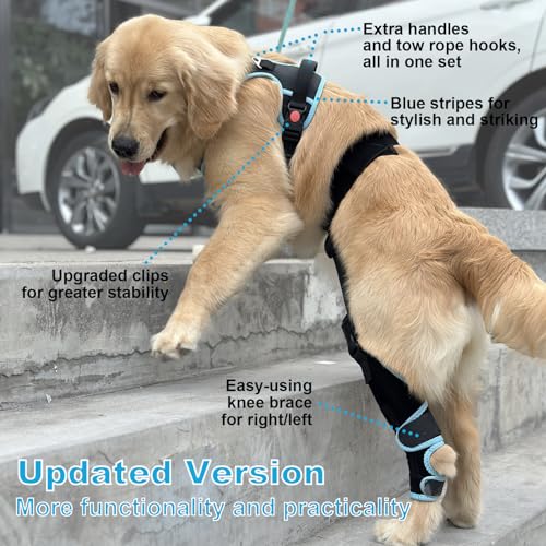 Image of IEhotti Dog Knee Brace for Torn Acl Hind Leg, Dog Leg Braces for Back Leg with Extra Dog Harness, Dog Hip Brace for Cruciate Ligament Injury, Relieves Pain and Better Recovery, Small