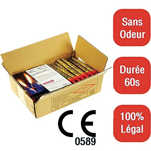 LE PETIT FOURNISSEUR 100 Fontaines Lumineuses | 60 Secondes - 12cm | sans Odeur | Catégorie F1