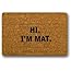 ZMvise Flannel Bathroom Hi I'm Mat Custom Doormat Indoor Carpet 15.7X 23.6inch