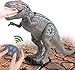 FANURY Ferngesteuertes Dinosaurier Spielzeug für Jungen im Alter von 3 bis 12 Jahren, LED-Beleuchtung beim Gehen und Brüllen T-Rex-Dinosaurier Spielzeug mit leuchtenden für Kindergeschenke