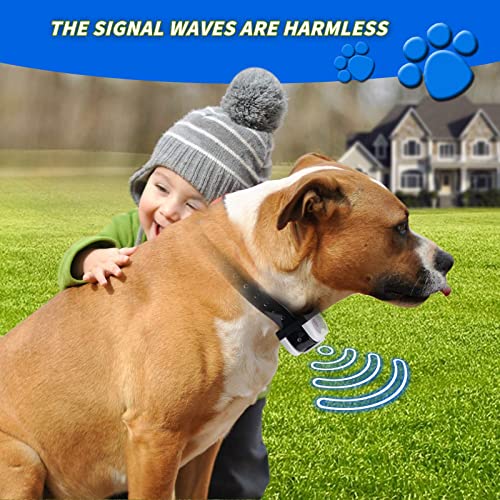 Wireless Dog Fence in Use