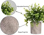 Decorative Artificial Plants in Pots Set of 3-Mini Potted Fake Plants in Pots,Plastic Eucalyptus Plants,Bamboo,Turtle Potted Faux Plants Indoor for Office Desk Coffee Table Wall Bedroom Decoration