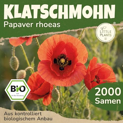 Little Plants BIO Klatschmohn Samen 2000 Mohnsamen Blumensamen für Blumenkübel Samenfest Blumen für Balkon und Garten Klatschmohnsamen Mohnblume