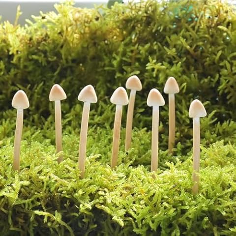 8-Pack Handmade Miniature Mushrooms by Mumutie Cover