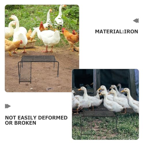 Support à poulet pour cage en fer noir et plateforme pour petits animaux