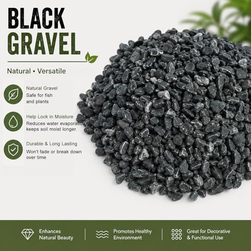 Image of CONSDAN 12 LBS Natural Gravel for Fish Tank, StoneCreek Betta Fish Aquarium Gravel, Vase Filler, River Rocks, Fish Tank Decorations, Perfect for Aquarium Decor, Fish Tank, & Indoor Plant, Black
