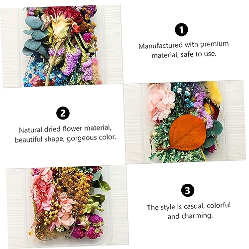 Flores Secas Realistas para Manualidades miniatura 5