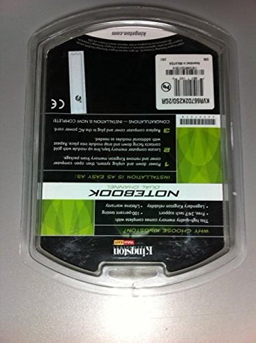Kingston 2Gb 667Mhz Ddr2 Non-Ecc Cl5 Sodimm Notebook Memory (Pack Of 2, 1Gb Each) (Kvr667D2K2So/2Gr) #TOP4