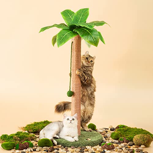 Find The Best Sisal Cat Scratching Post Reviews & Comparison Katynel